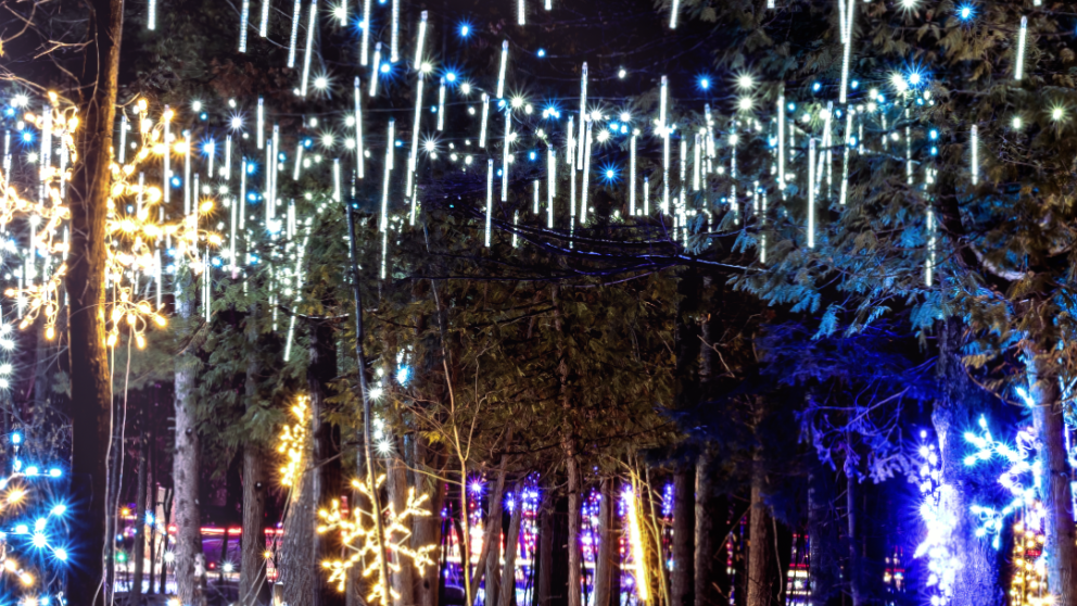 Wesley Clover Parks Holiday Lights Ottawa ON Canada Magic of Lights