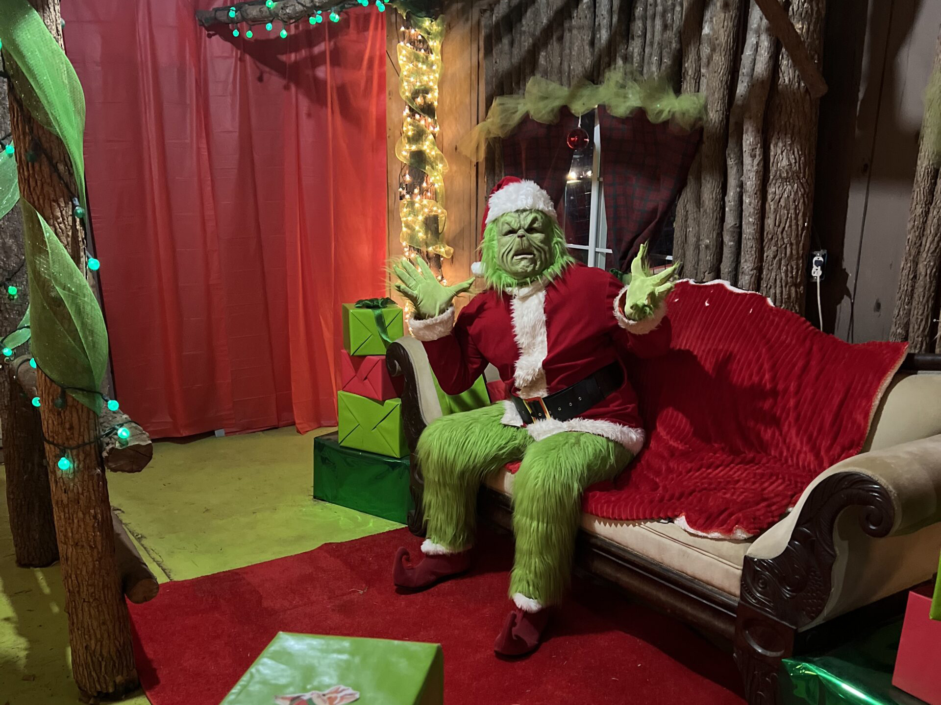 GreenvilleSC.MOL_.Hollywild.GrinchPhoto-scaled