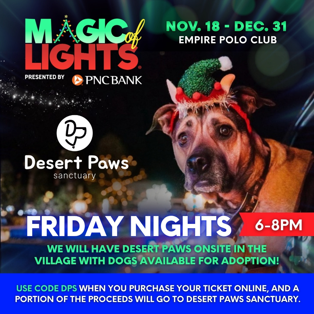 Friday Nights with Desert Paws