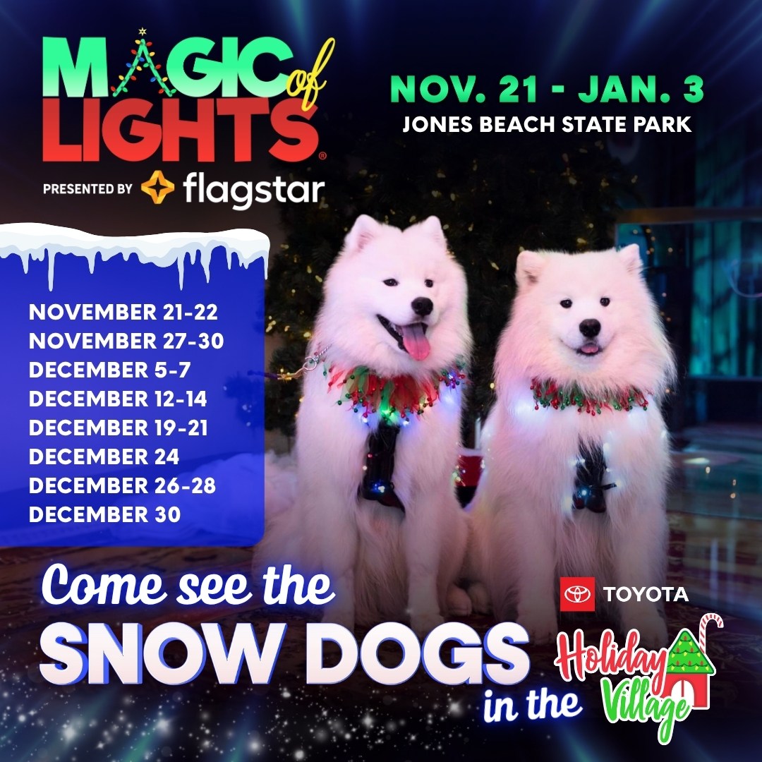Come see the Snow Dogs!