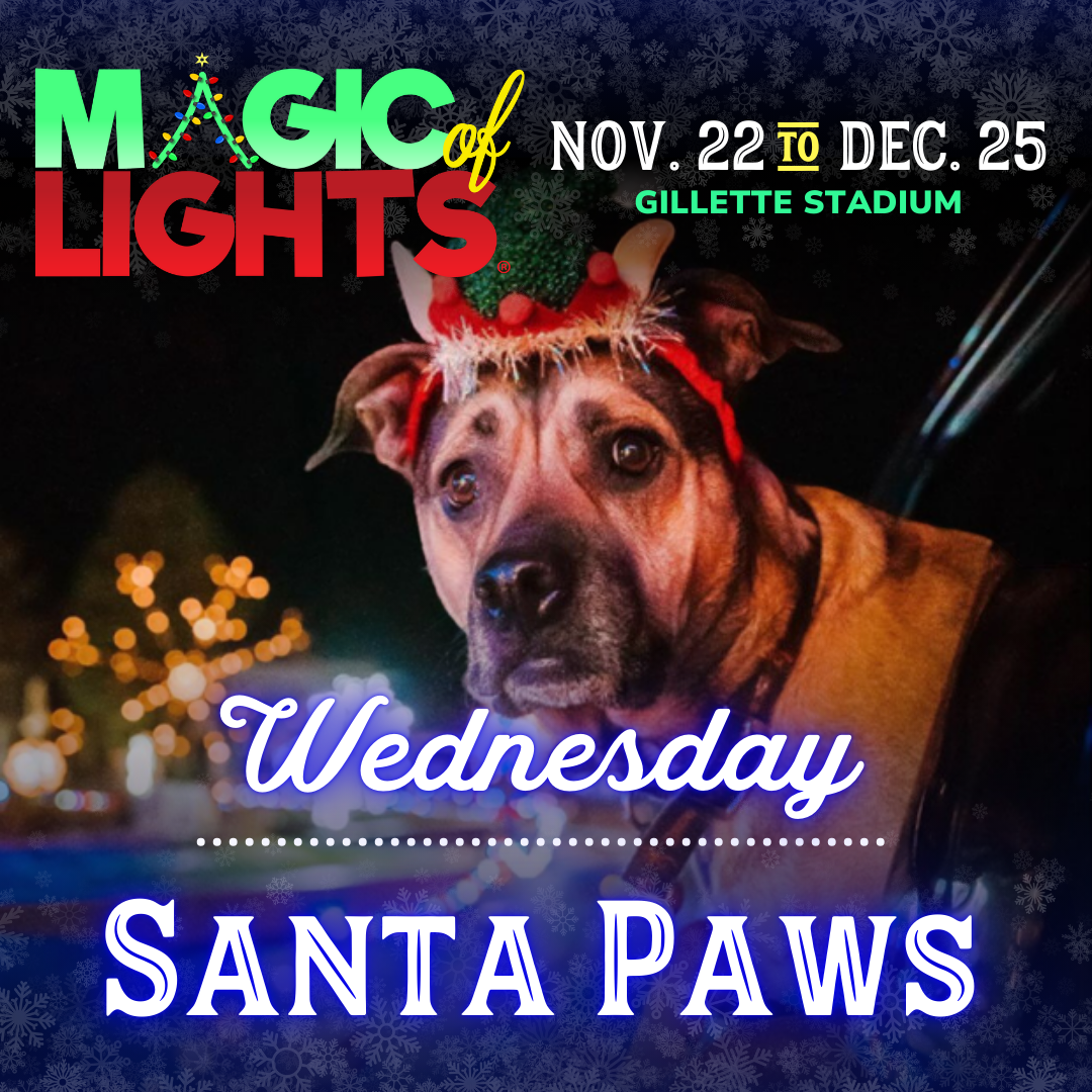 Wednesdays Santa Paws!