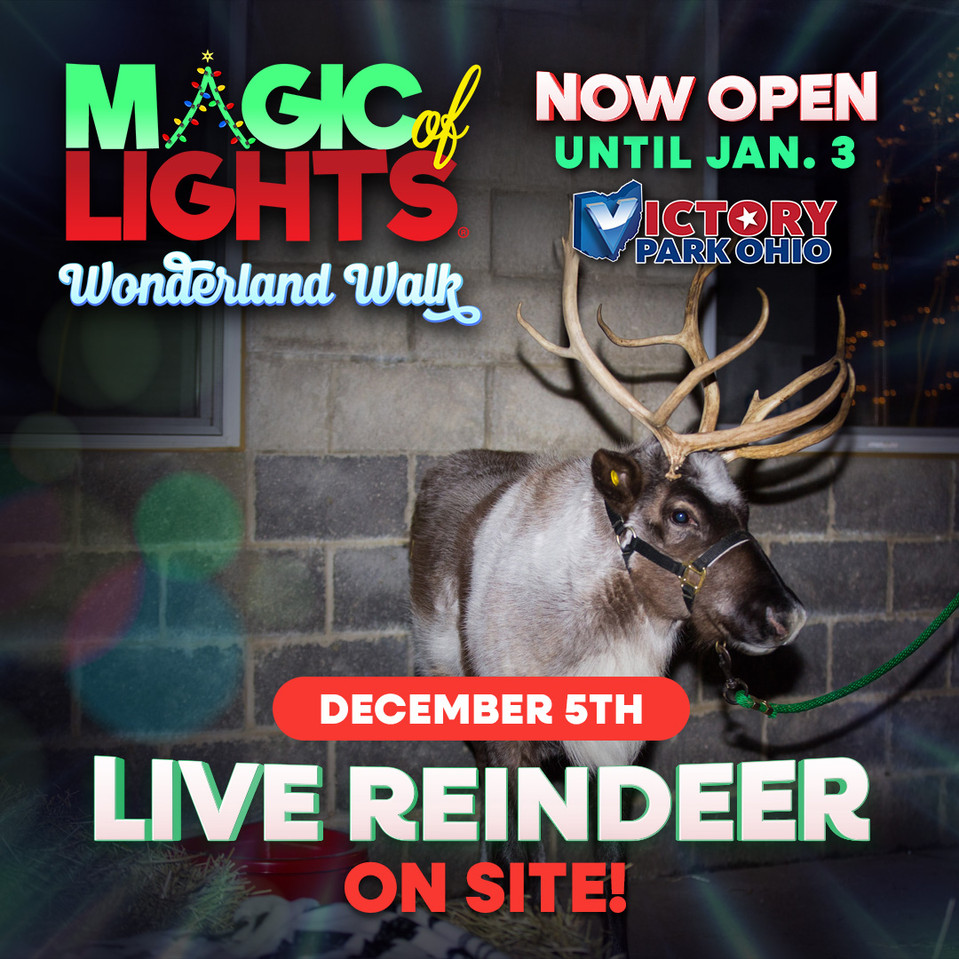 Live Reindeer on December 5th